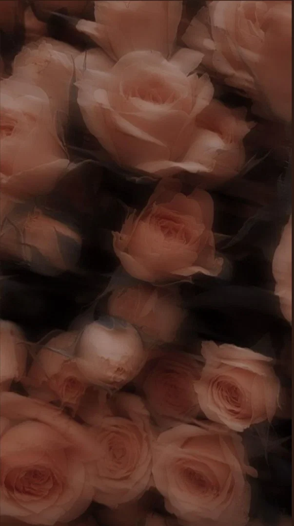 princxss profile banner