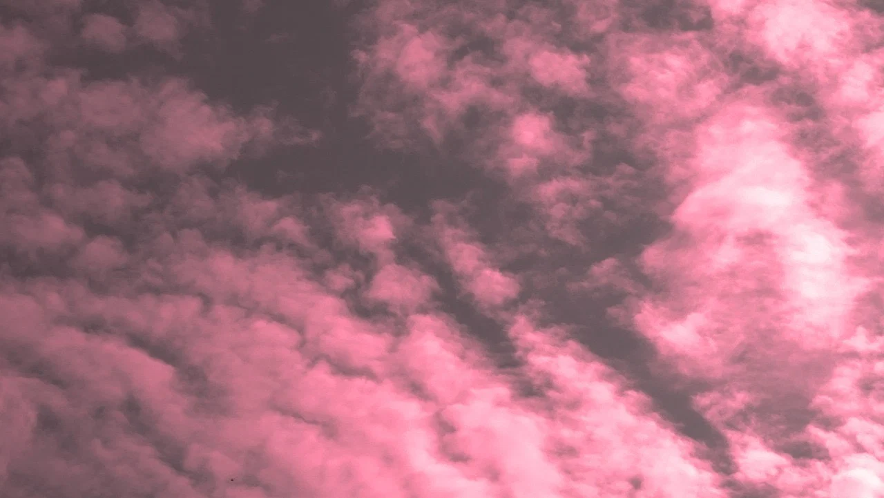 mauve profile banner