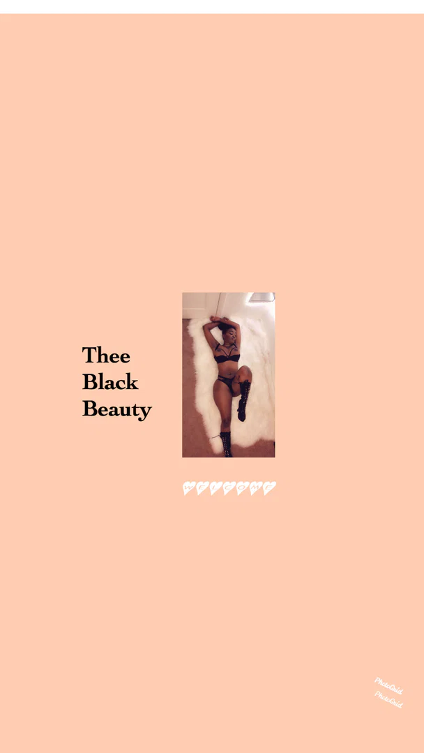 Black Beauty profile banner
