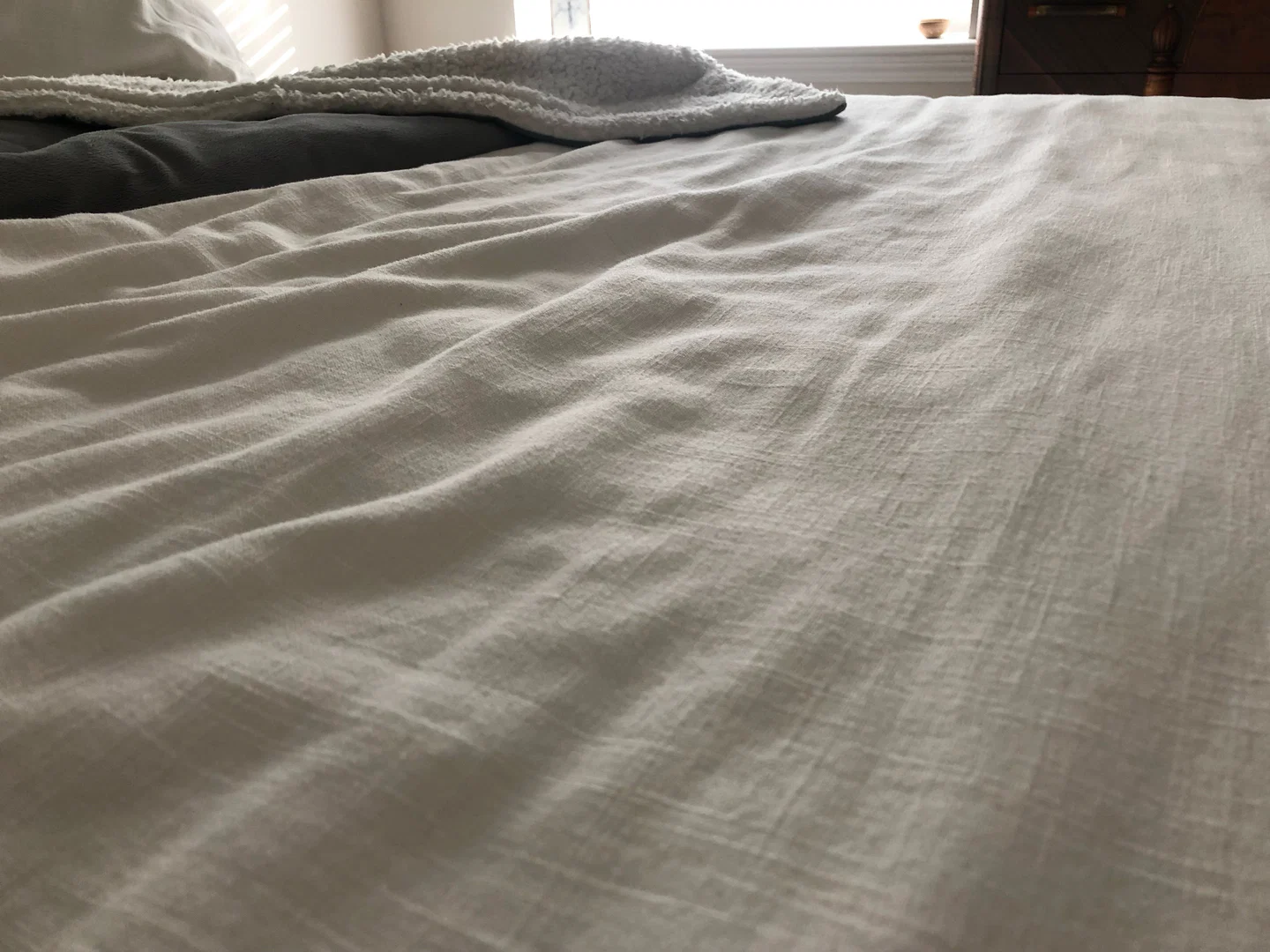2transbois profile banner