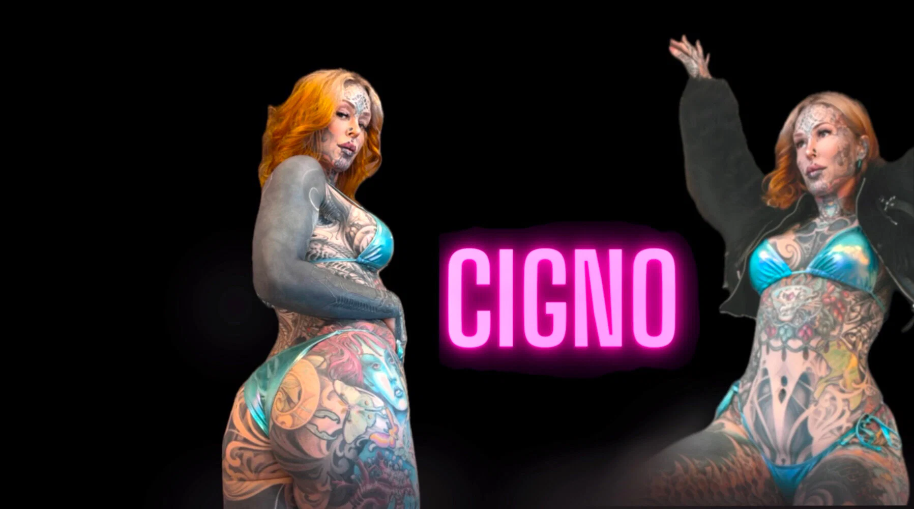 Cigno profile banner