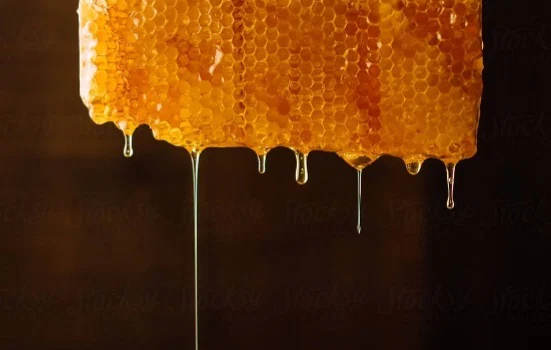 🍯Honey Bee🍯 profile banner