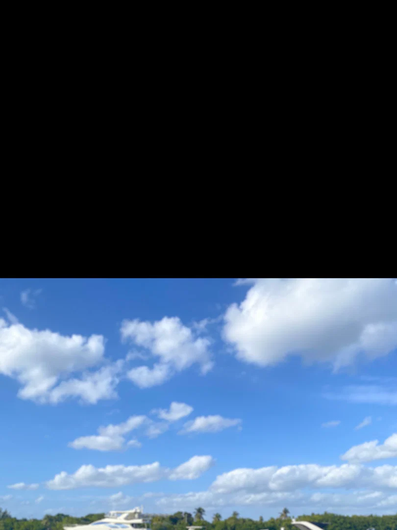 Nell Papi profile banner