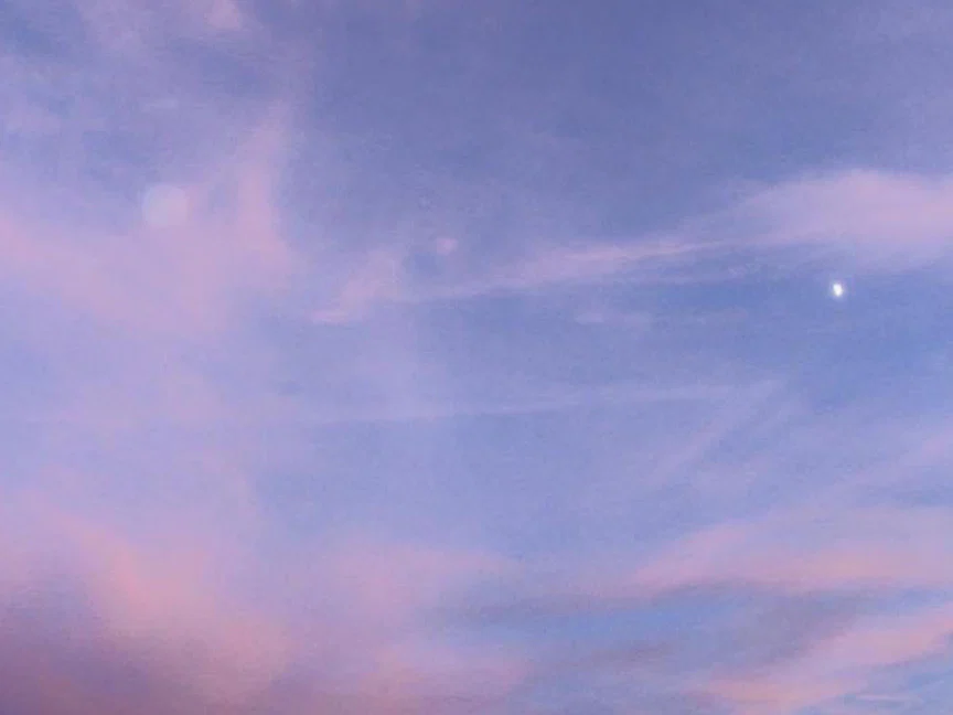 Aphrodite Desire profile banner
