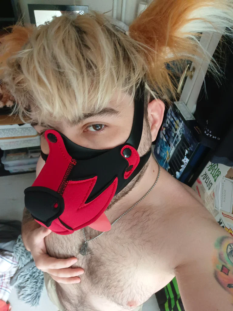 RawrFox's avatar