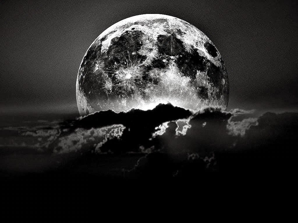 BLACK MOON GIRLFRIEND's avatar
