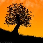 Carter VPC's avatar