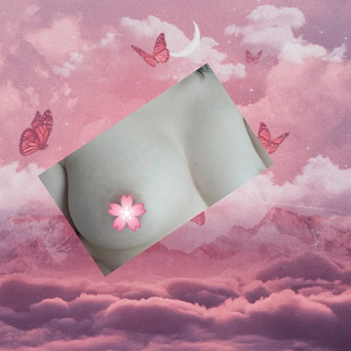 Rose.. profile banner