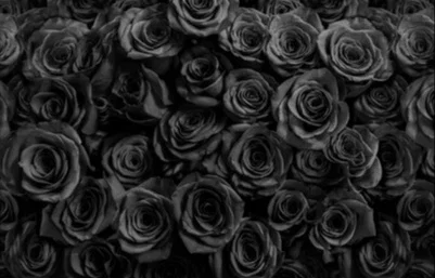 Leyah Jade profile banner