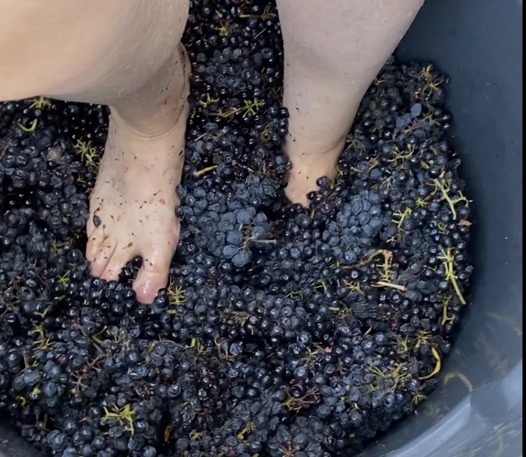The Wine Makers Feet profile banner