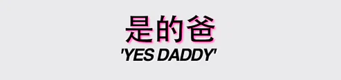 your chinese vixen ✨ profile banner