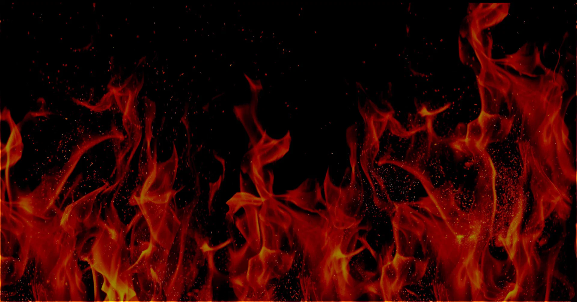 ππβ¨ profile banner
