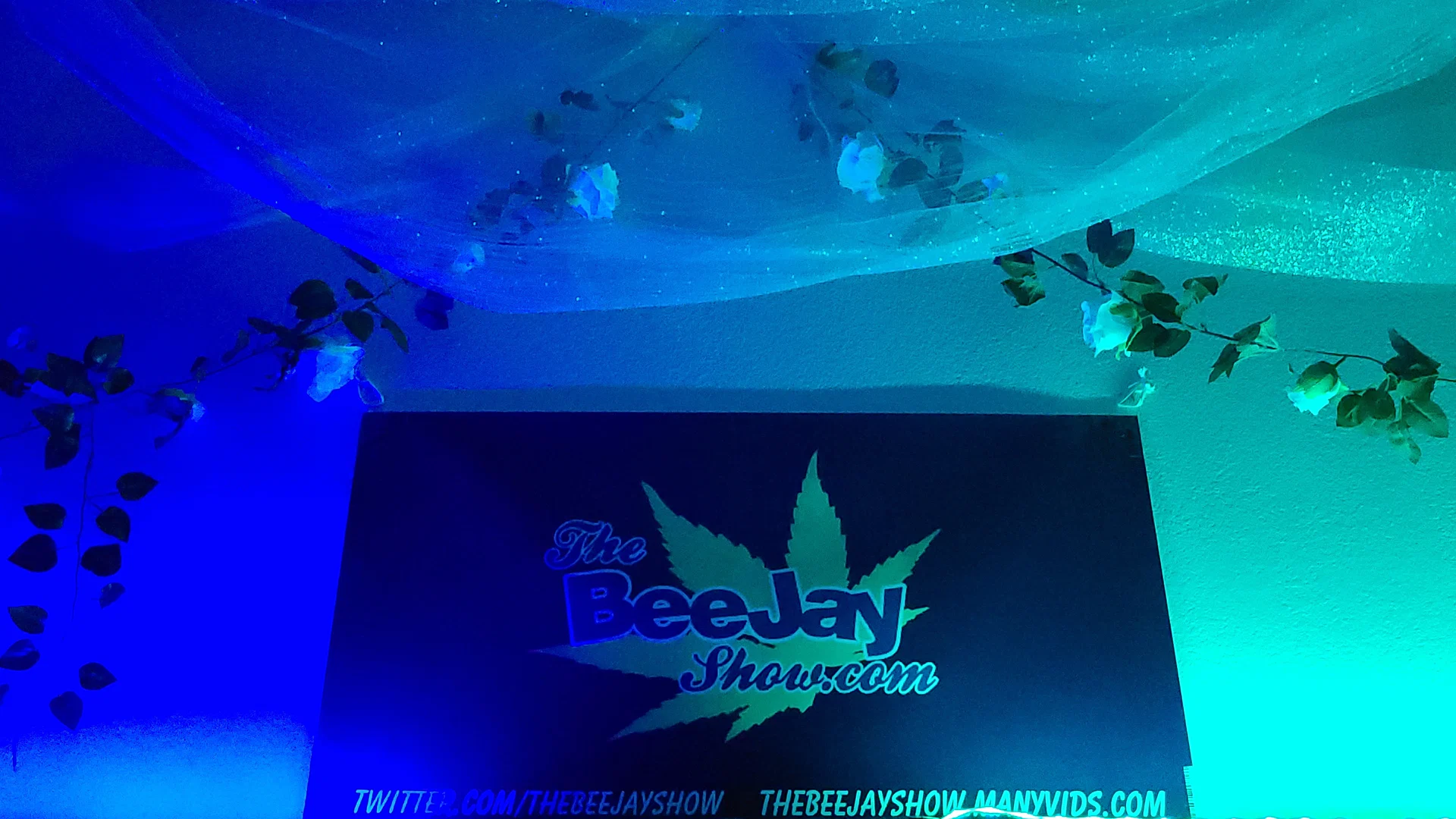 TheBeeJayShow profile banner
