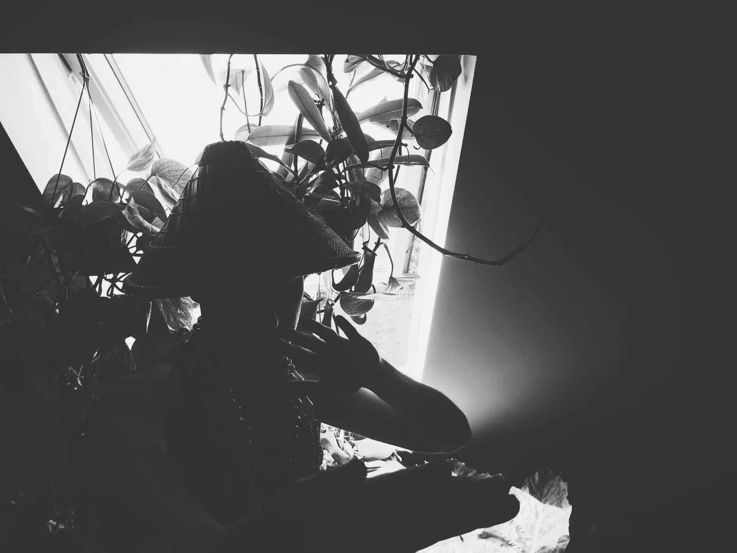 Master L profile banner