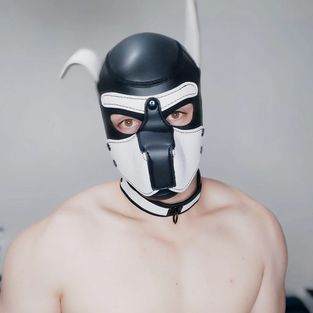 BigBoiJake's avatar