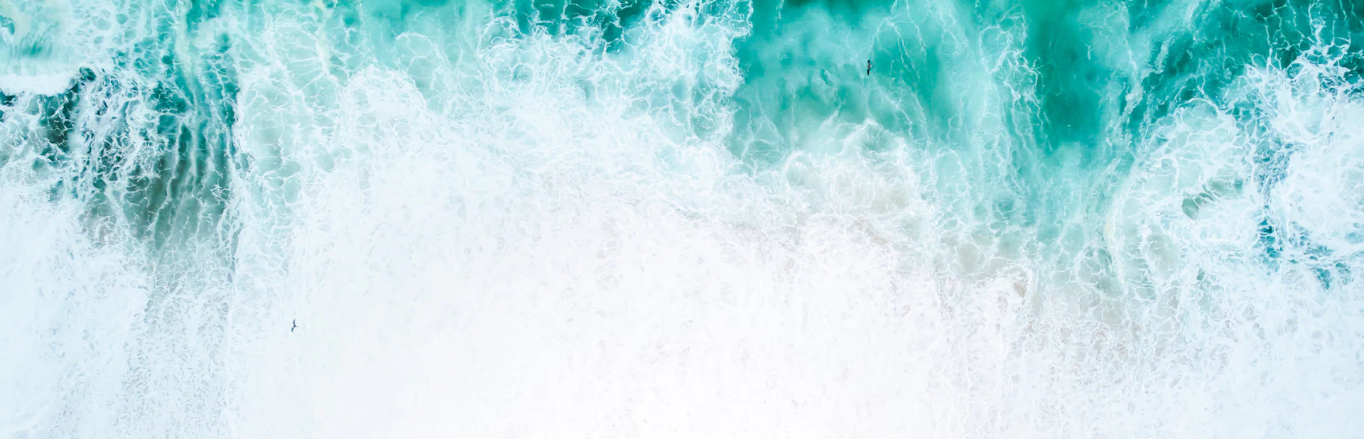 Samanta Werneck profile banner