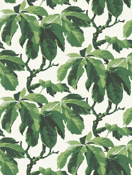 FigLeafX profile banner