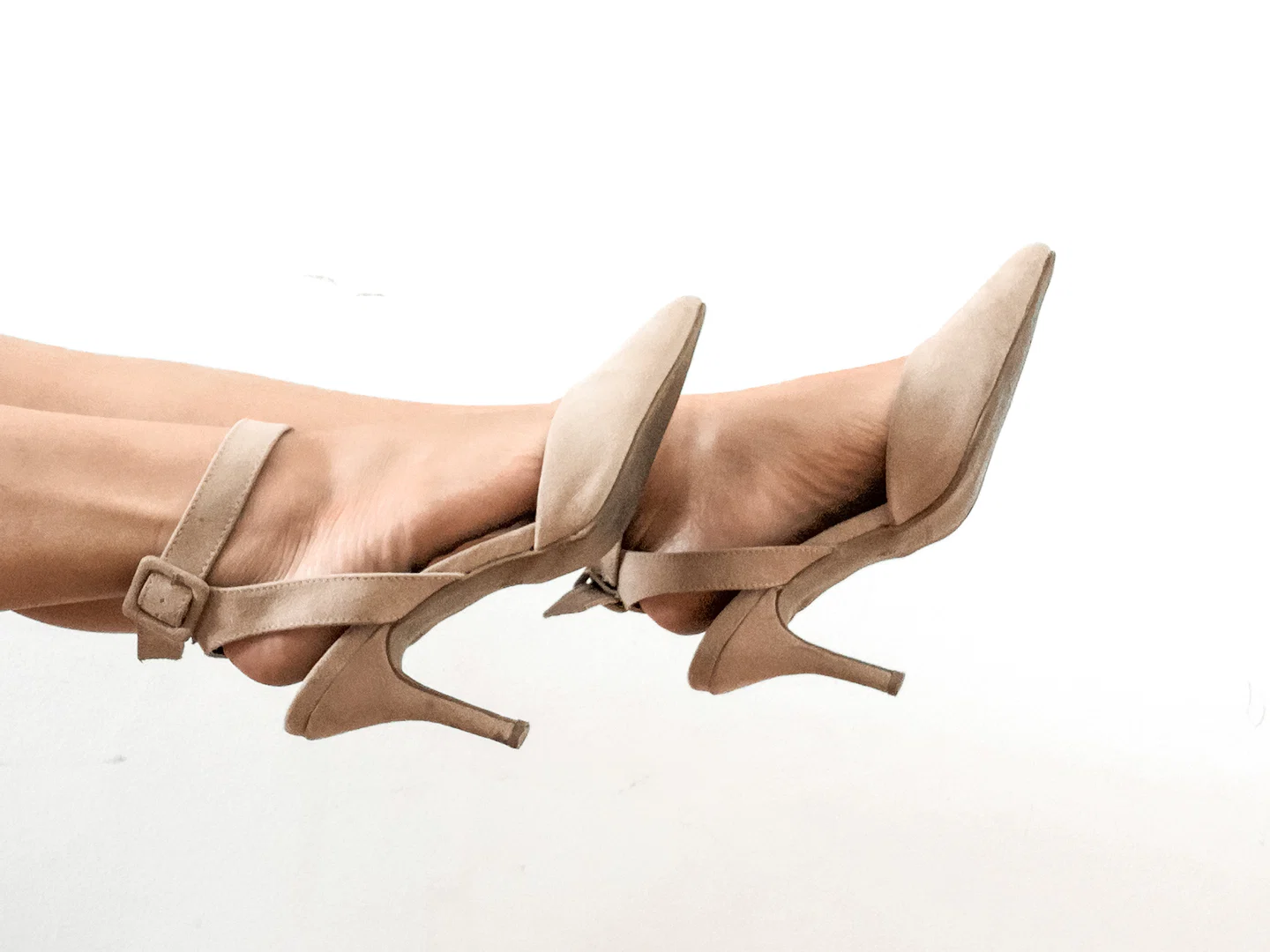 Nibbly Toes profile banner