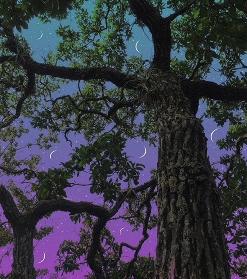 Swooty99 profile banner