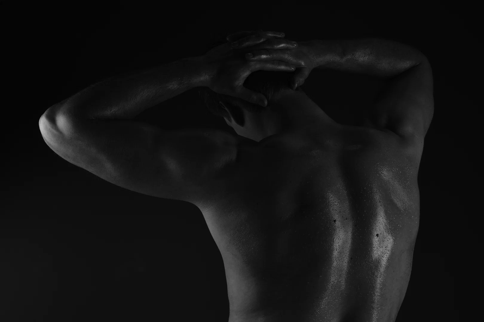 Bruno_model profile banner