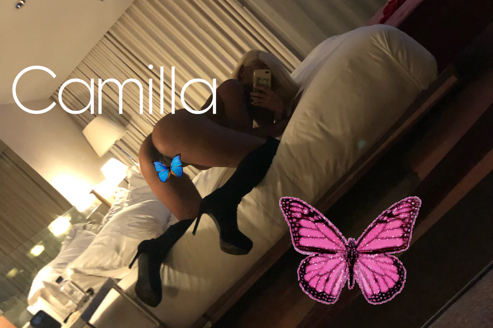 camilla rodriguez profile banner