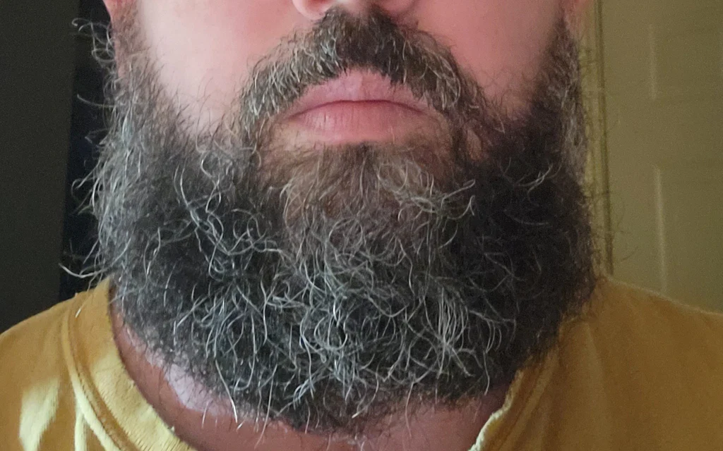 Bearded chubby 🇨🇦's avatar