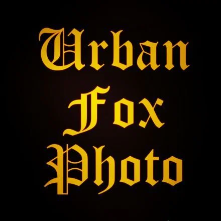 Urban Fox Photo's avatar