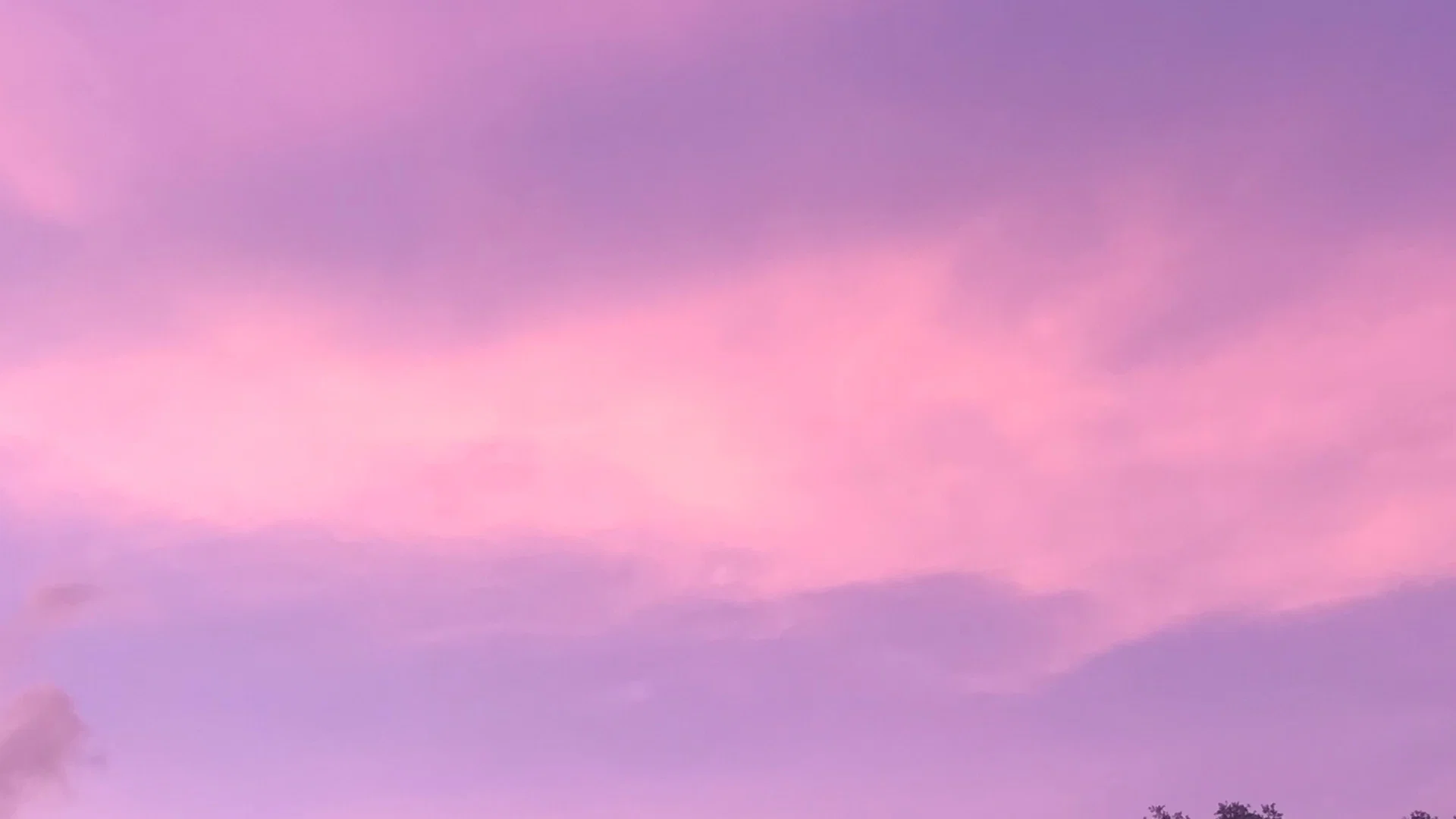 *:・゚✧ 。・ *🌸*:・゚✧ 。・ profile banner