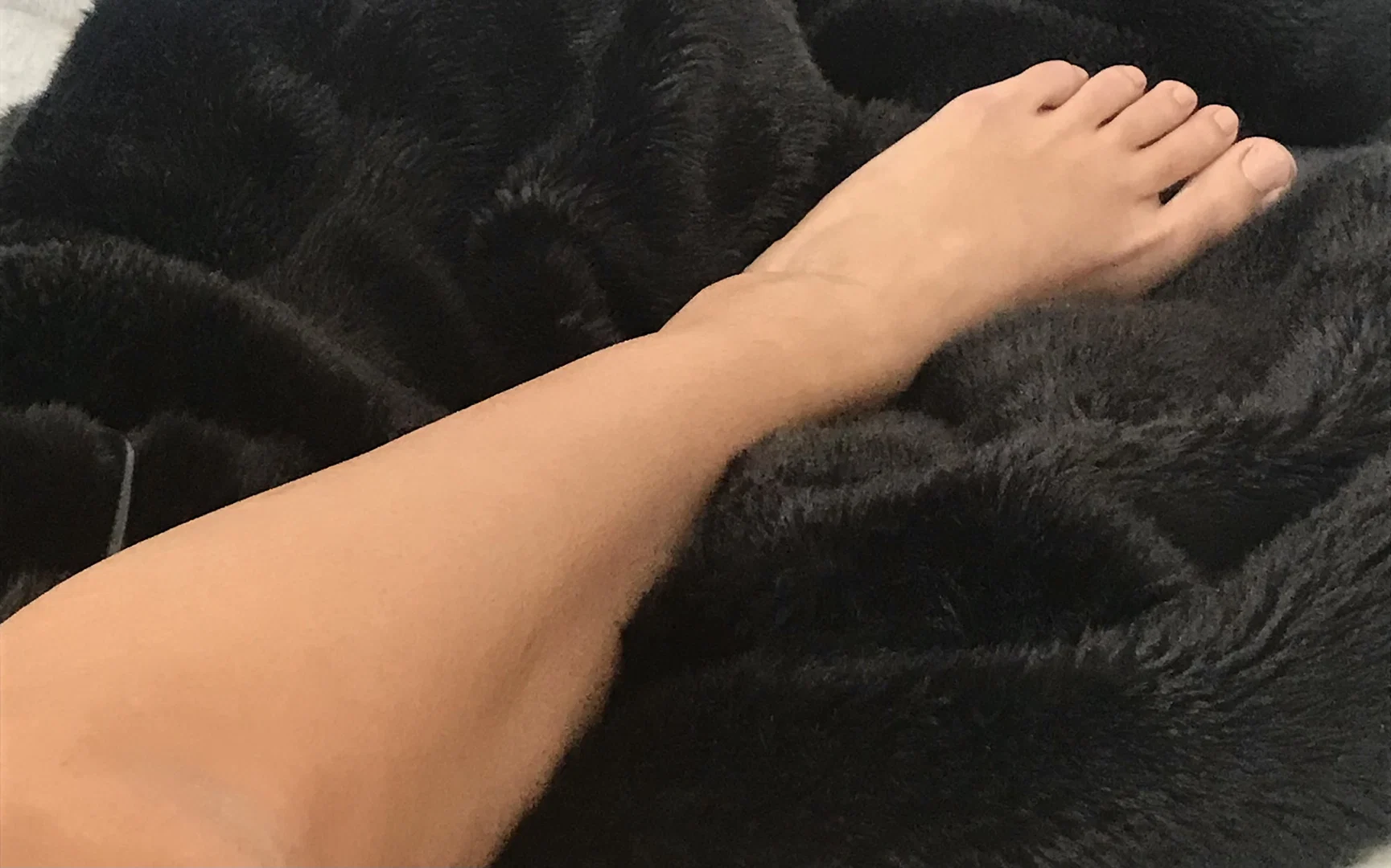Jasmine Rose profile banner