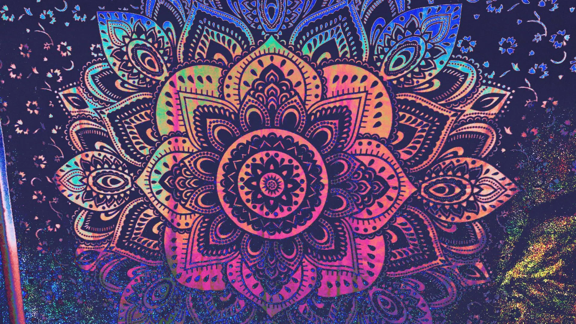Lillian profile banner