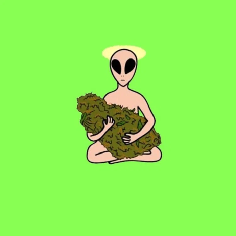 👽 profile banner