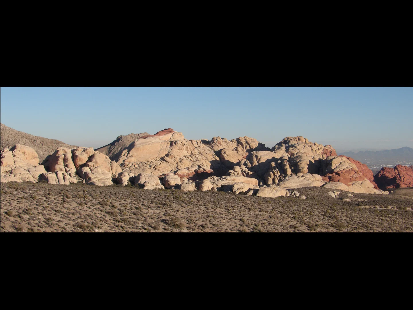 The Wild Lifestyle profile banner
