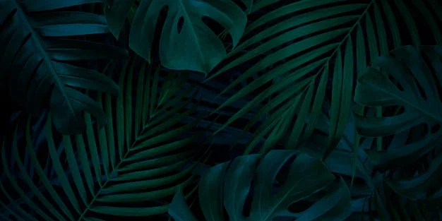 Nina profile banner