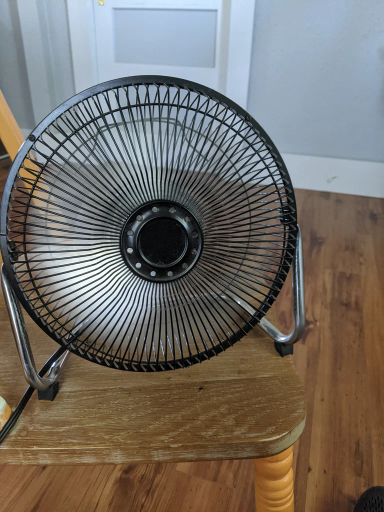 Fans Only's avatar