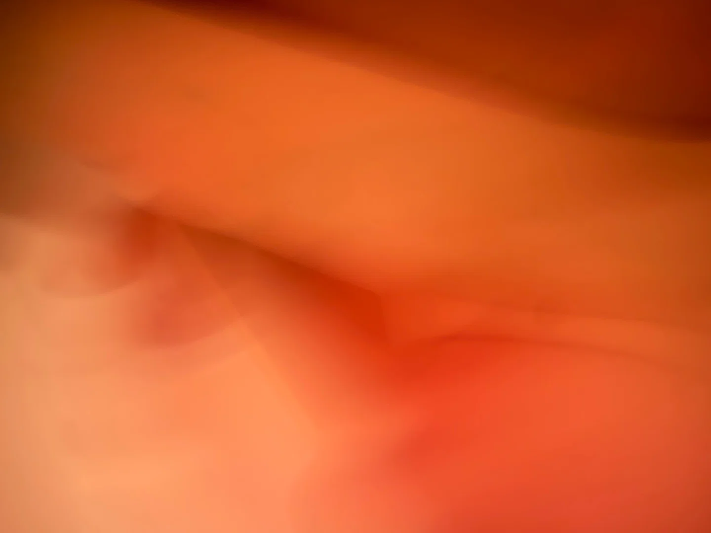 Sophia Roman profile banner