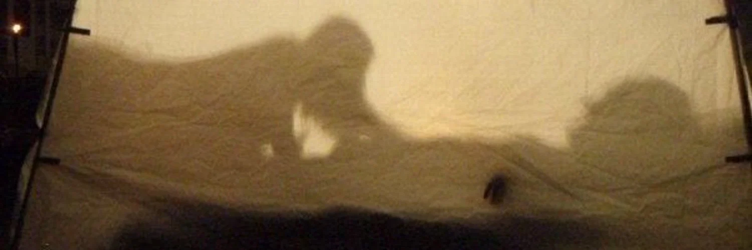 nathan profile banner