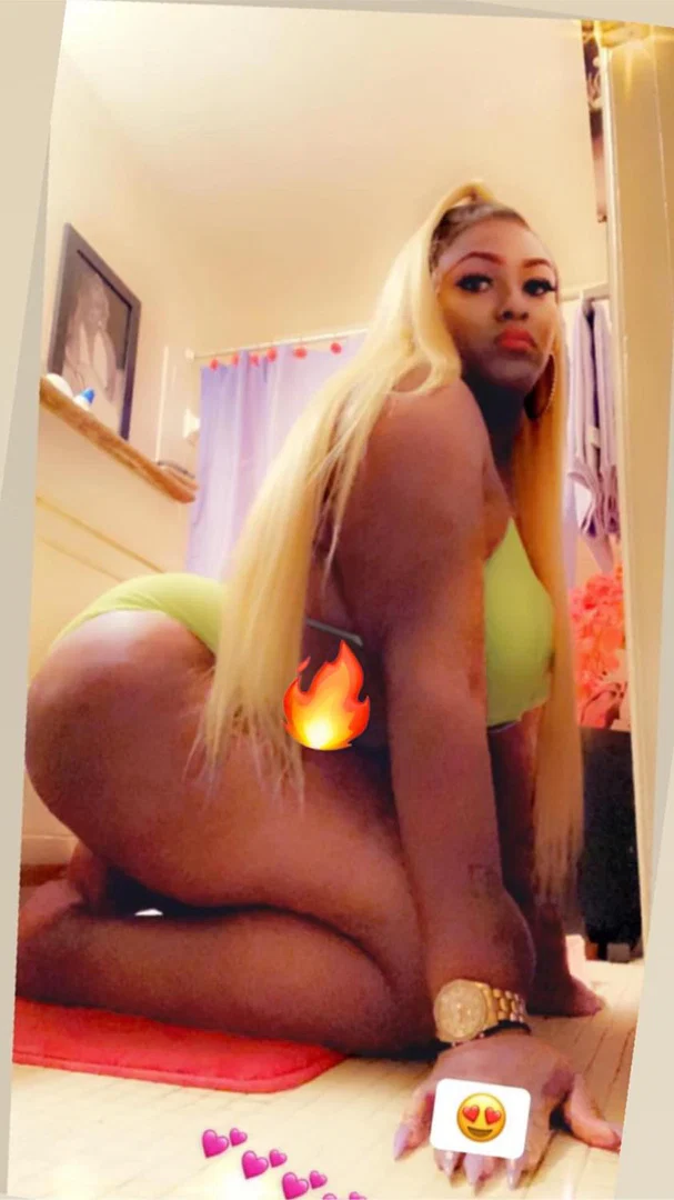 barbieDreams profile banner