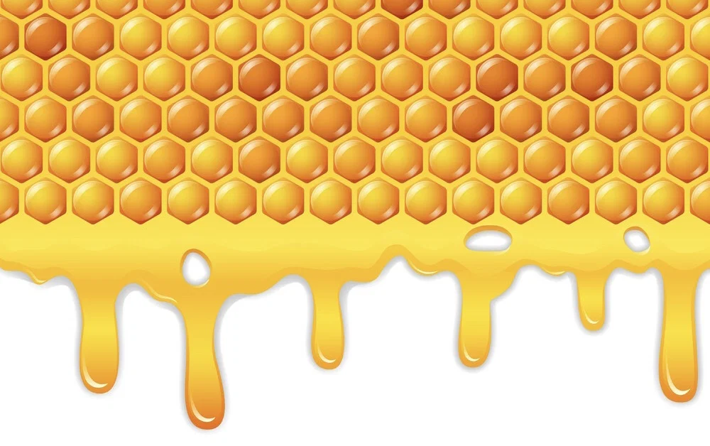 Miss Honey profile banner