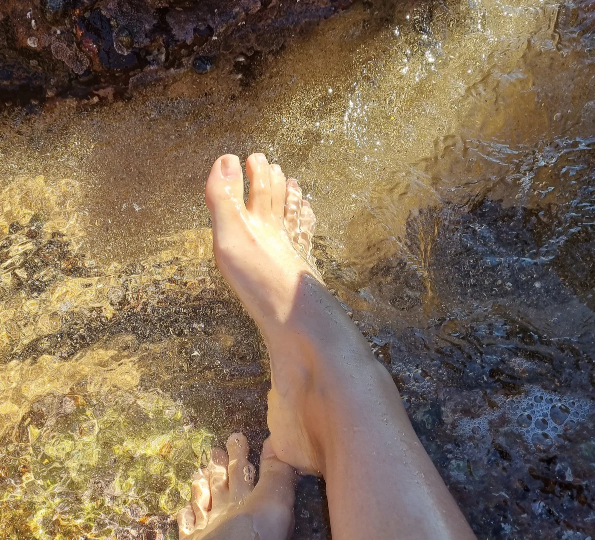 Bea profile banner