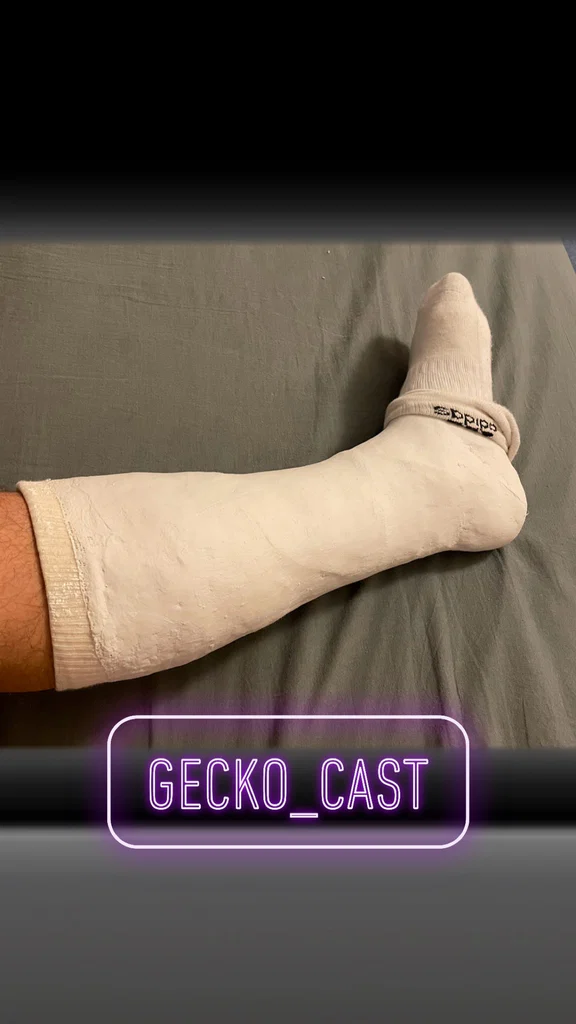 Gecko_Cast