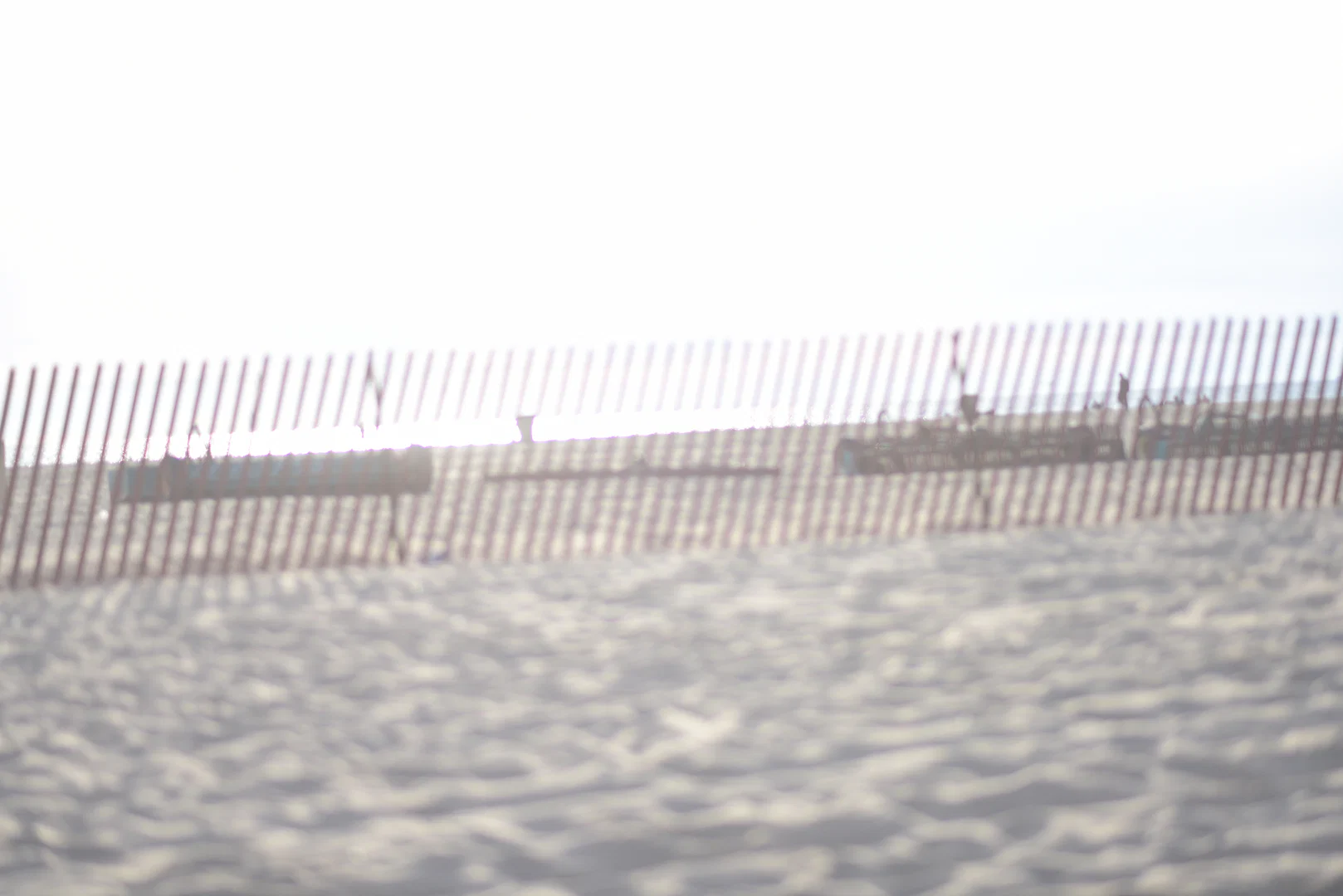 Dominique Rystan profile banner