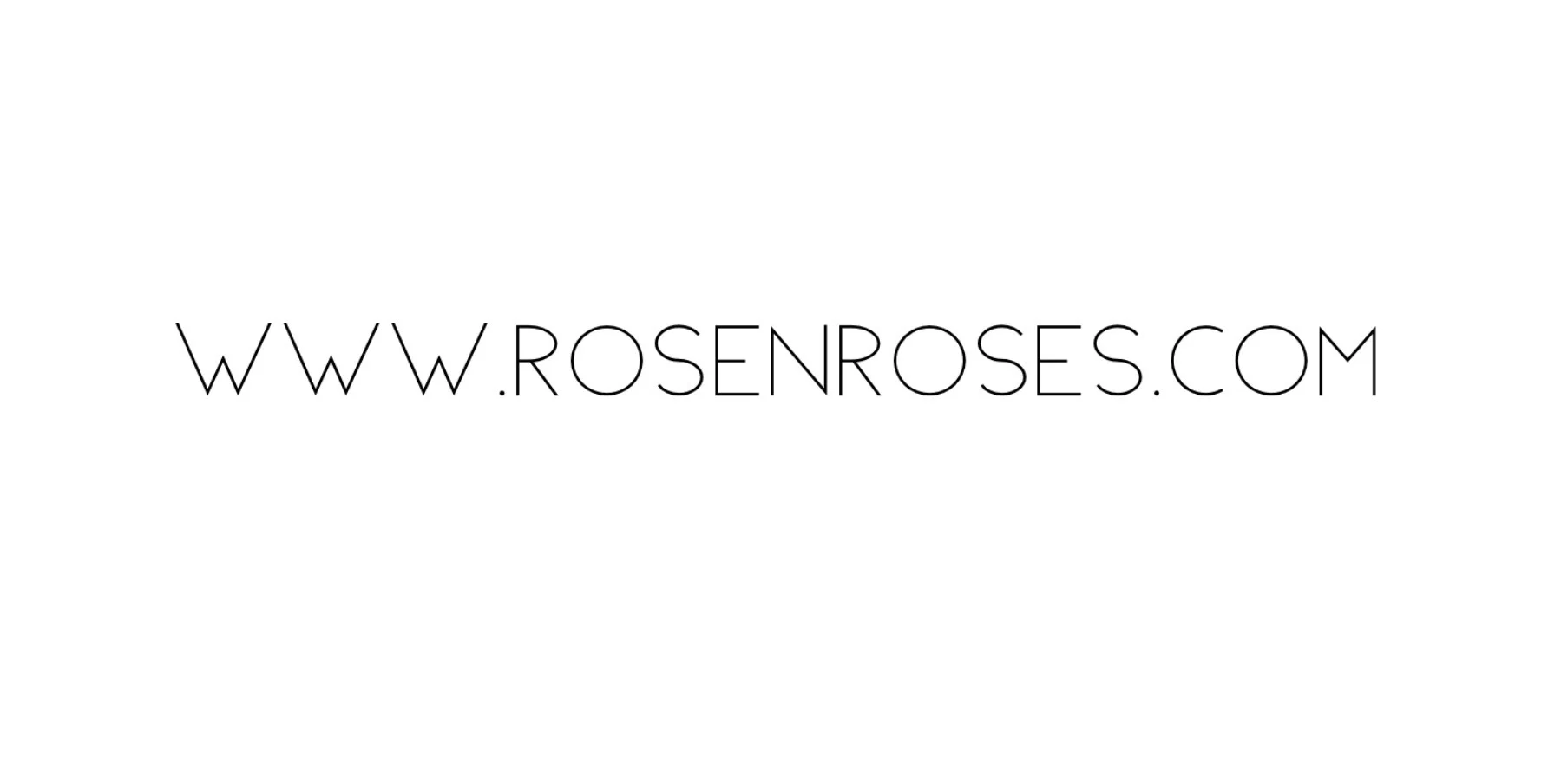 RoseNRoses profile banner