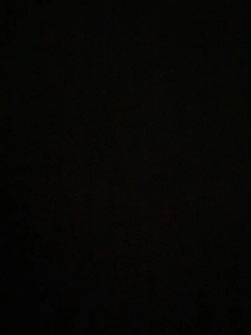 Paige Rose profile banner