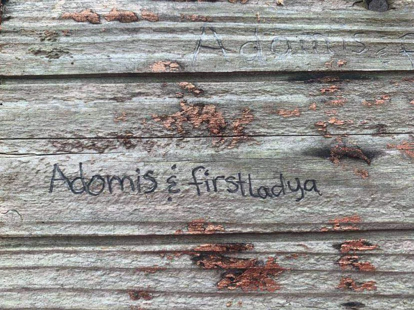 First Lady A profile banner