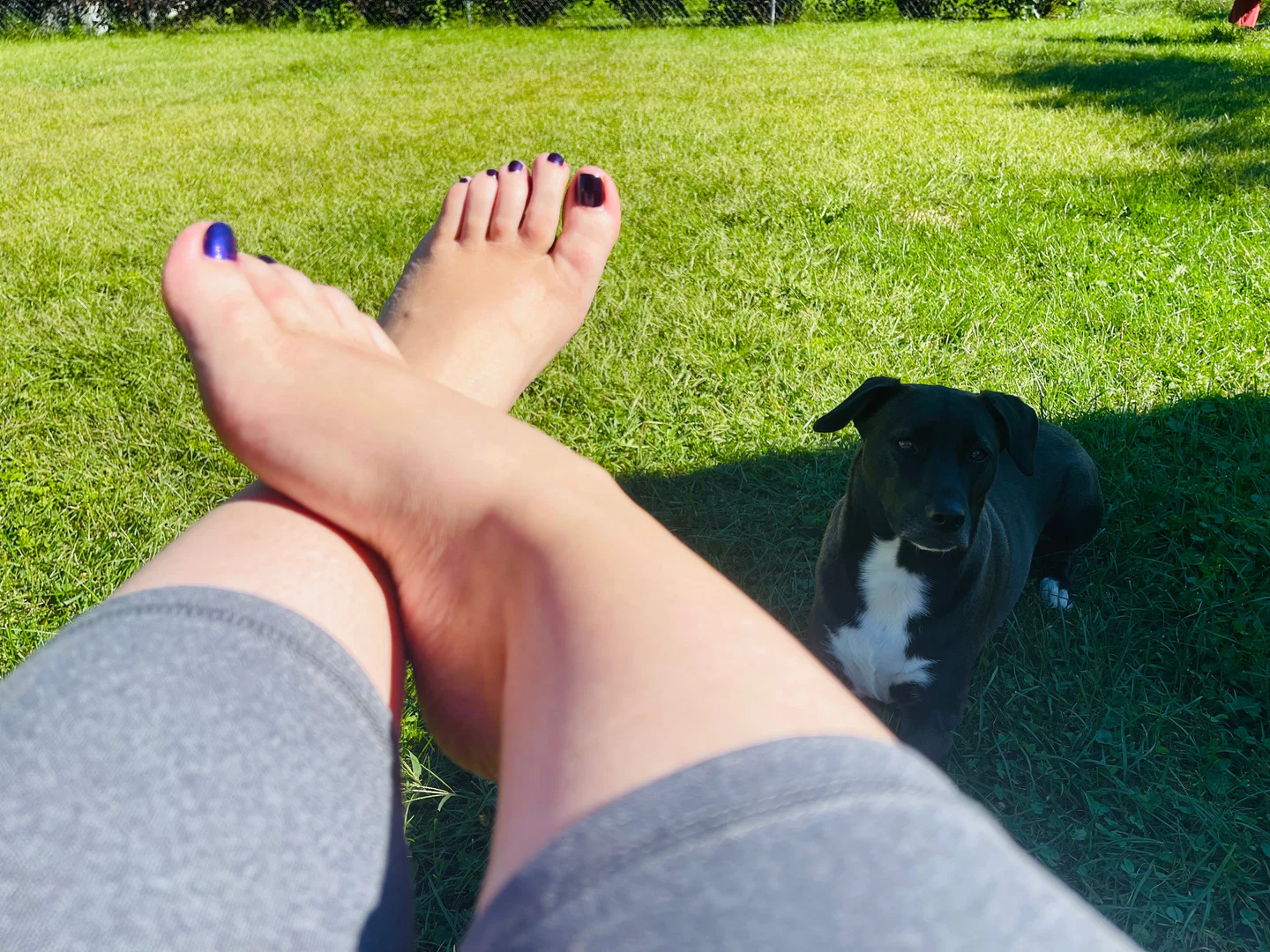 Feet by Genavieve profile banner