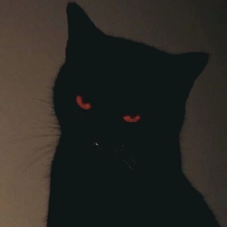 kuromi✩₊˚.⋆☾⋆⁺₊✧