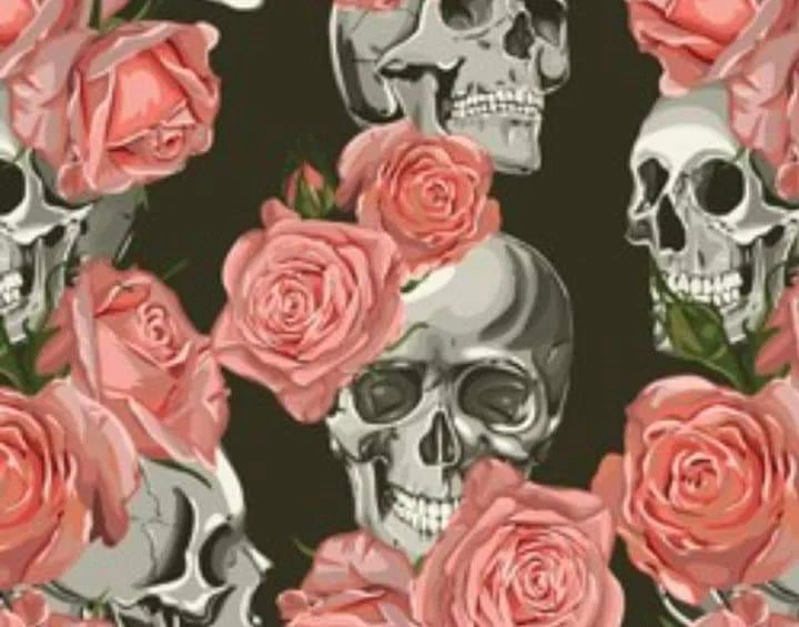 Ash❤💀 profile banner