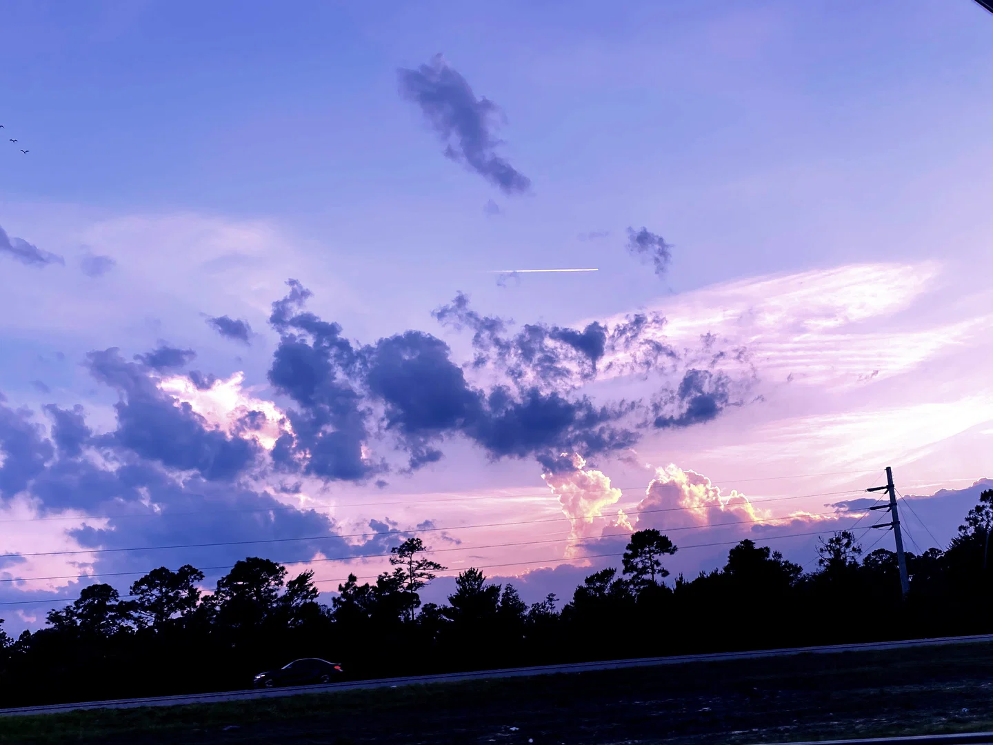 Andrea Williams profile banner