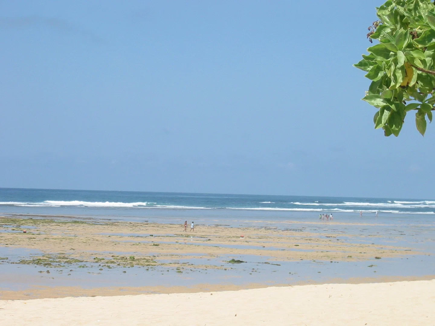 Hony profile banner