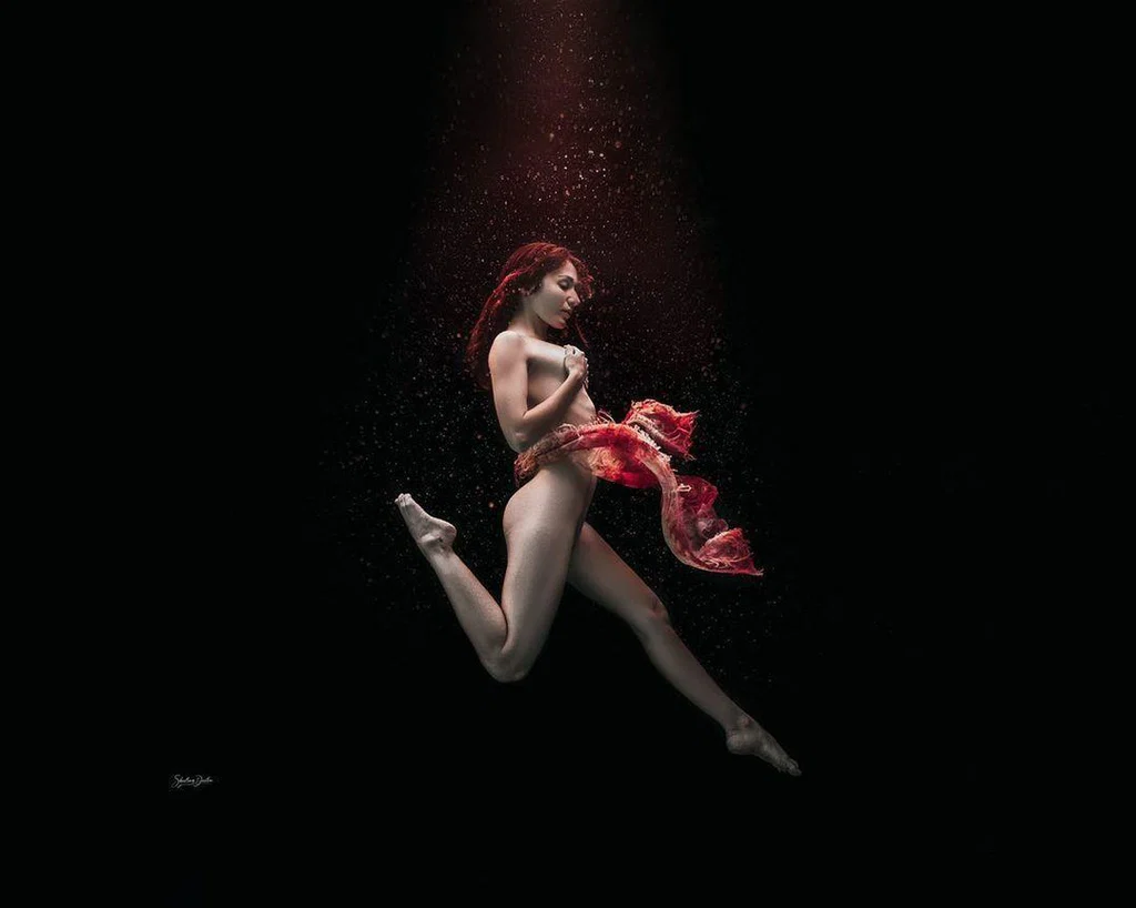 ZW's avatar